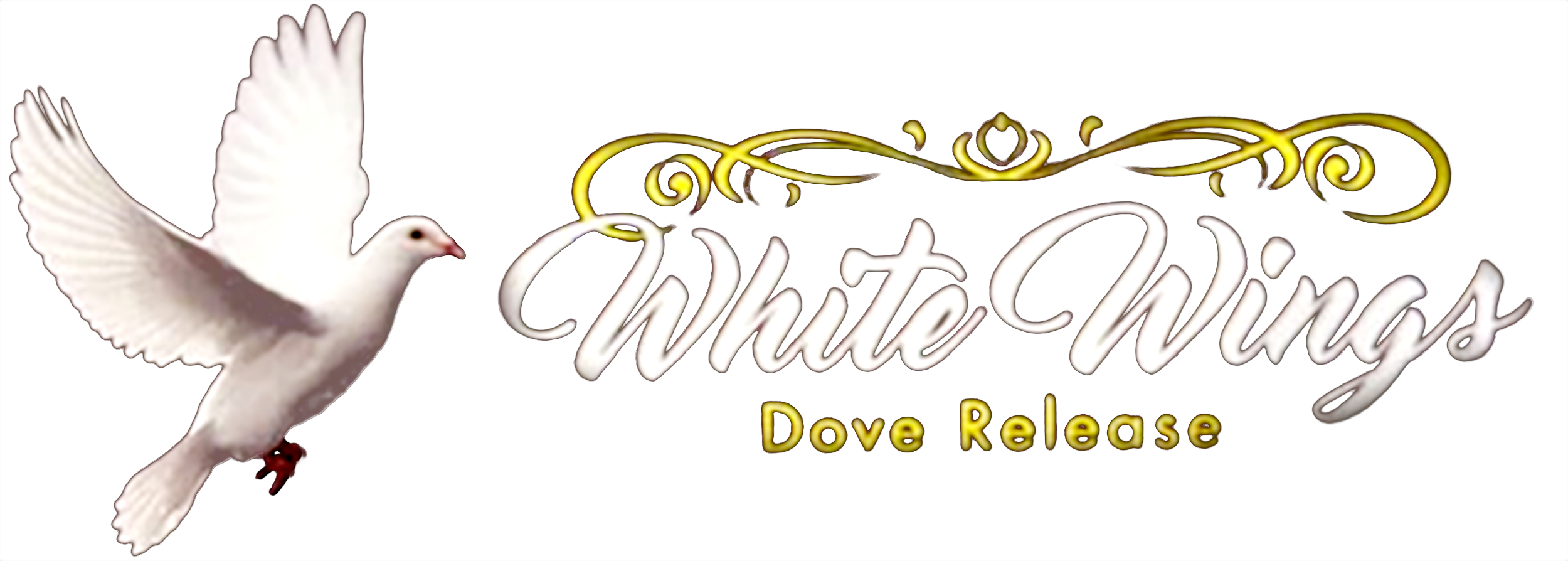white wings dove release