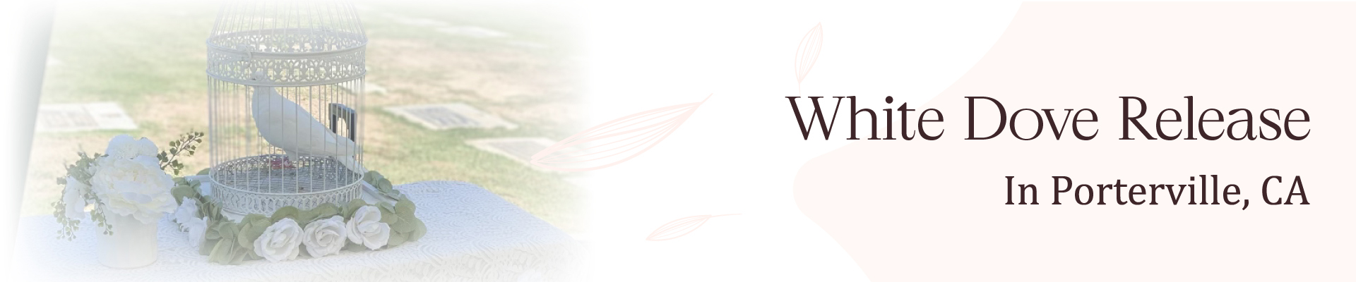 White Dove Release In Porterville