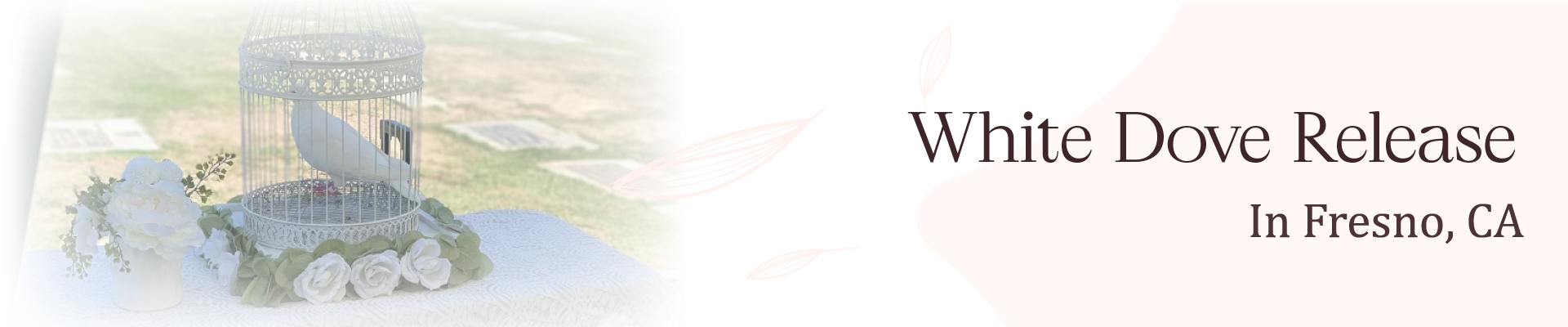 White Dove Release In Fresno