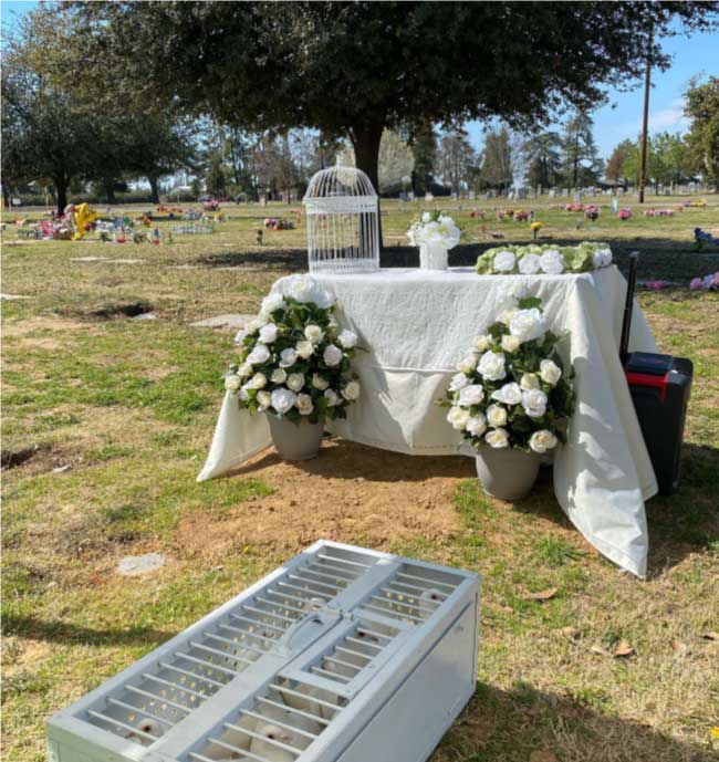 dove release in selma, ca in a funeral