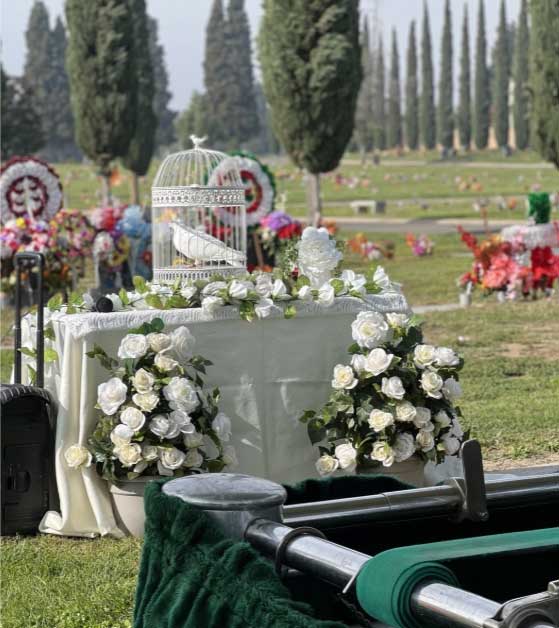 dove release in hanford, ca