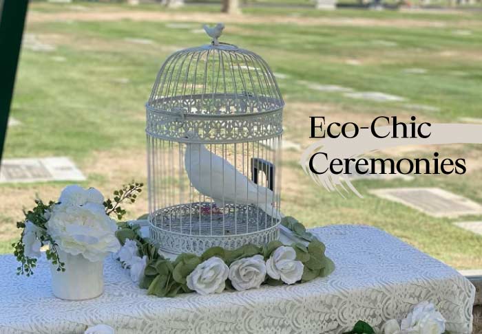 Beyond the Balloon Release: Why White Doves are the Sustainable Choice for Ceremonies